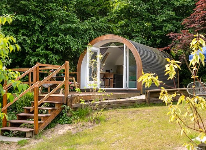 Unterkunft 323418 • Ferienhaus Veluwe • Vakantiehuisje in Rheden 