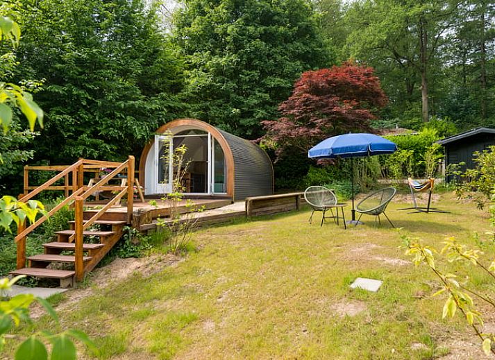 Uitzicht vanaf binnenruimte Vakantiehuisje in Rheden, Veluwe, Gelderland op terras en natuur.