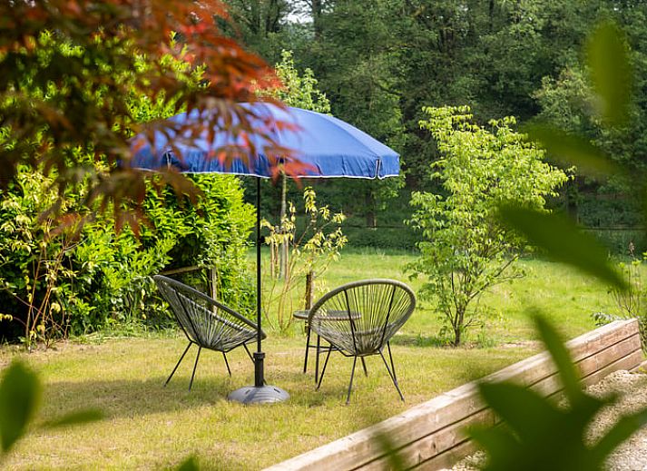 Uitzicht vanaf binnenruimte Vakantiehuisje in Rheden, Veluwe, Gelderland op terras en natuur.