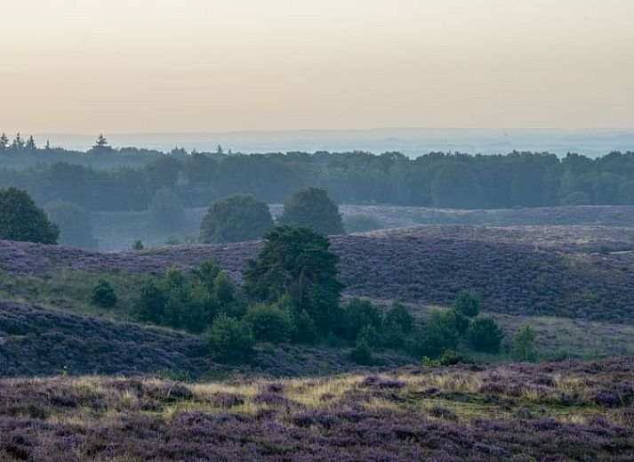 Compacte en stijlvolle binnenruimte van Vakantiehuisje in Rheden, Veluwe, Gelderland.