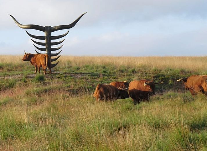 Compacte en stijlvolle binnenruimte van Vakantiehuisje in Rheden, Veluwe, Gelderland.
