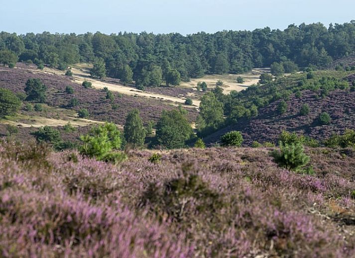 Compacte en stijlvolle binnenruimte van Vakantiehuisje in Rheden, Veluwe, Gelderland.