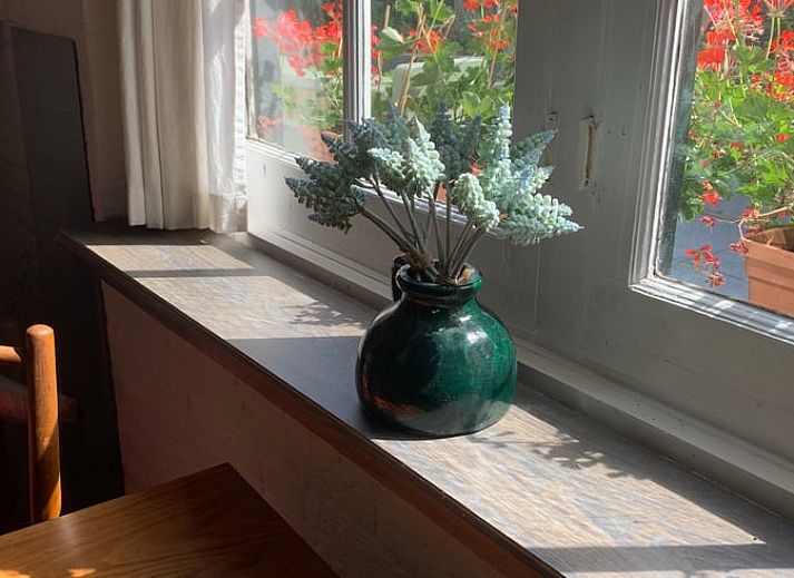 Unterkunft 323423 - Ferienhaus Veluwe - Huisje in Rheden