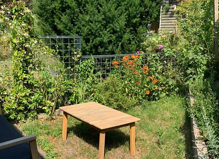 Unterkunft 323423 - Ferienhaus Veluwe - Huisje in Rheden