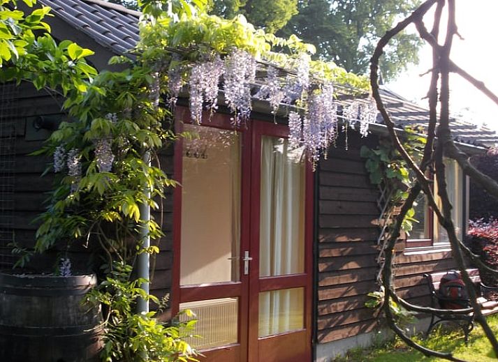 Unterkunft 323702 - Ferienhaus Veluwe - Vakantiehuisje in De Steeg