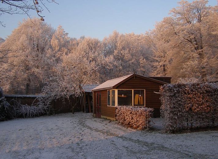 Unterkunft 323702 - Ferienhaus Veluwe - Vakantiehuisje in De Steeg