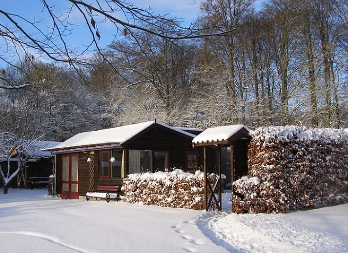 Unterkunft 323702 - Ferienhaus Veluwe - Vakantiehuisje in De Steeg