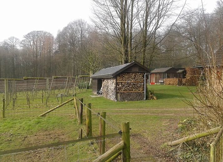 Unterkunft 323702 - Ferienhaus Veluwe - Vakantiehuisje in De Steeg