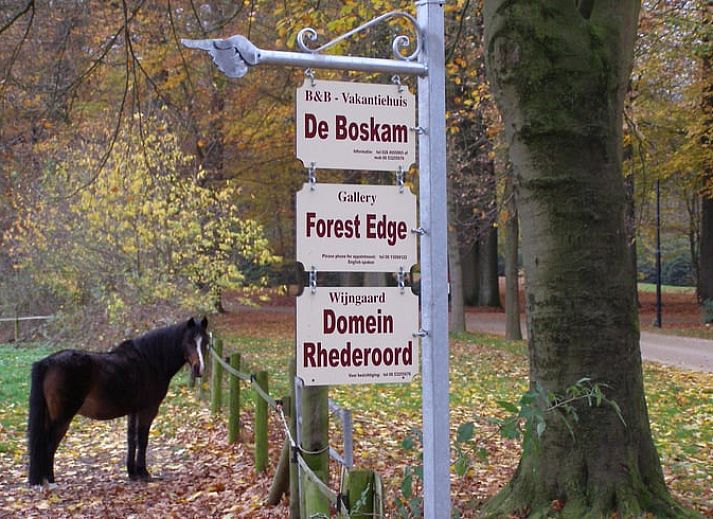 Unterkunft 323702 - Ferienhaus Veluwe - Vakantiehuisje in De Steeg