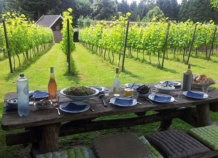 Unterkunft 323702 - Ferienhaus Veluwe - Vakantiehuisje in De Steeg