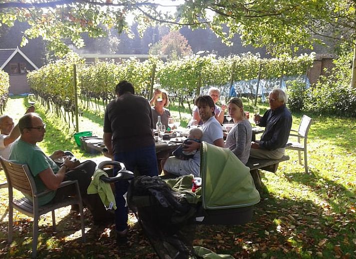 Unterkunft 323702 - Ferienhaus Veluwe - Vakantiehuisje in De Steeg