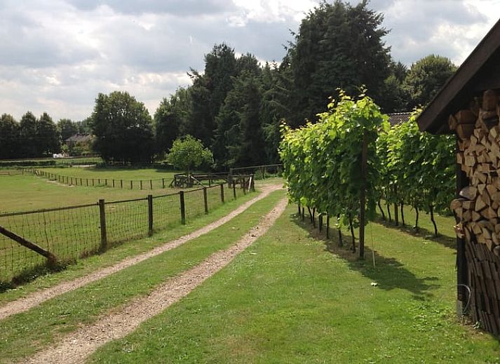 Unterkunft 323702 - Ferienhaus Veluwe - Vakantiehuisje in De Steeg