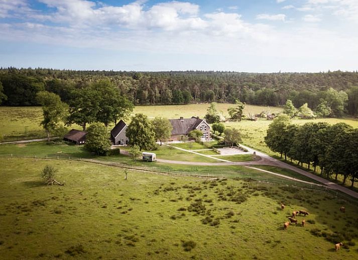 Unterkunft 323703 - Ferienhaus Veluwe - Huisje in De Steeg