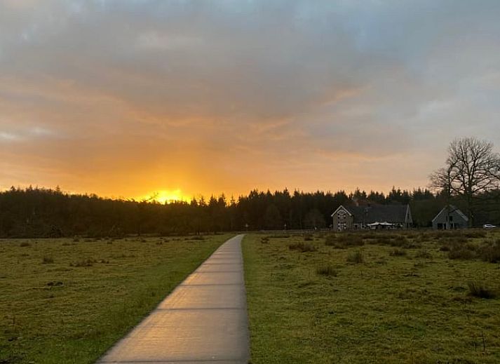 Unterkunft 323703 - Ferienhaus Veluwe - Huisje in De Steeg