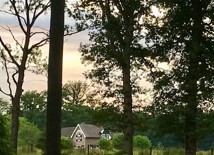 Unterkunft 323703 - Ferienhaus Veluwe - Huisje in De Steeg