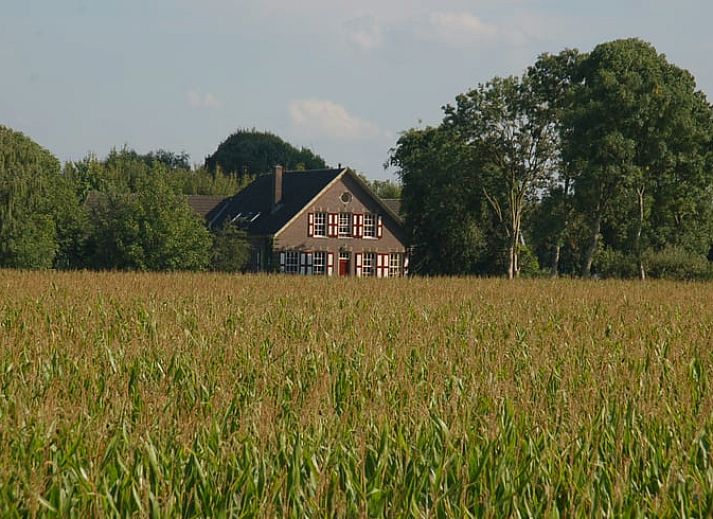Ferienhaus in De Steeg, umgeben von weiten Feldern in Veluwe, Gelderland.