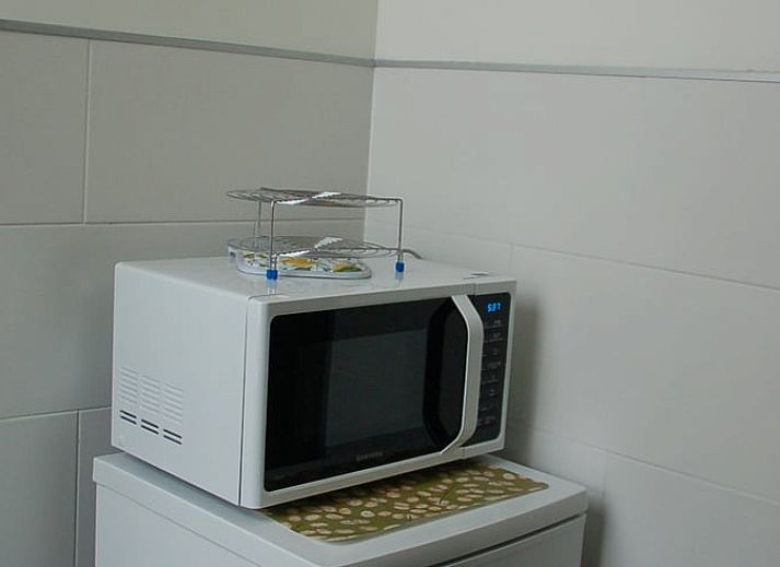 Gemuetlicher Garten im Ferienhaus in De Steeg, Veluwe, Gelderland.