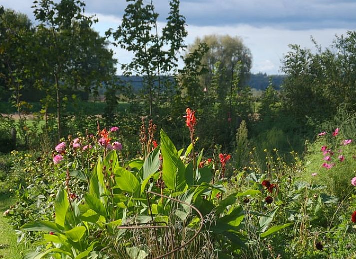 Gruener Garten mit Laterne im Ferienhaus in De Steeg, Veluwe, Gelderland.