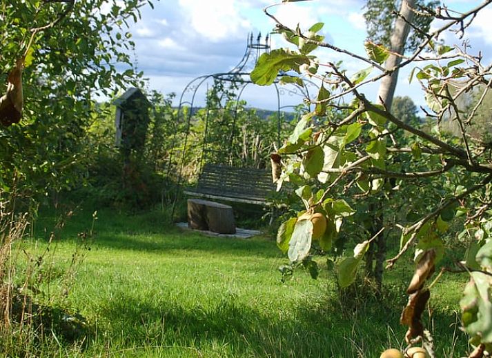Gruener Garten mit Laterne im Ferienhaus in De Steeg, Veluwe, Gelderland.
