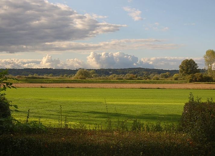 Gruener Garten mit Laterne im Ferienhaus in De Steeg, Veluwe, Gelderland.