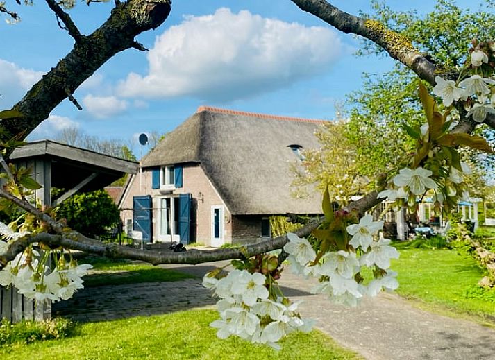 Verblijf 323903 • Vakantiewoning Veluwe • Huisje in Heerde 