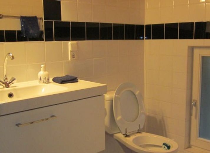 Spring flowers adorn the garden at Cottage in Heerde, Veluwe vacation home in Gelderland.