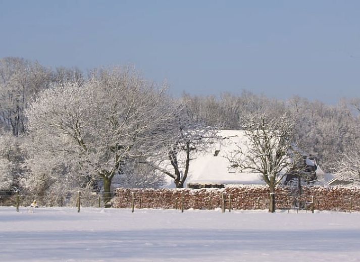 Cozy living room in Cottage in Heerde, Veluwe vacation home in Gelderland.