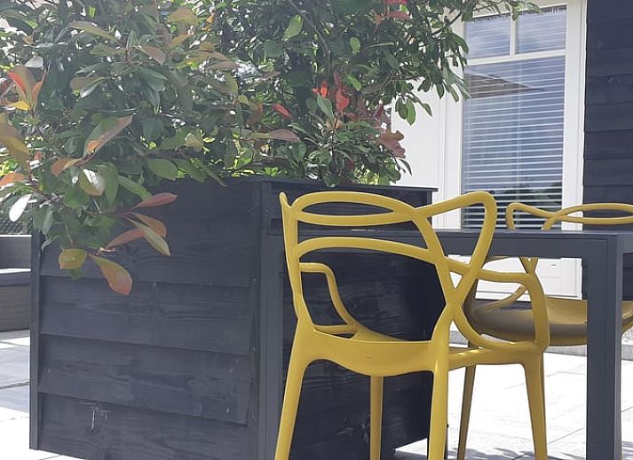 Ferienhaus in Heerde mit Reetdach und gruenem Garten an der Veluwe, Gelderland.