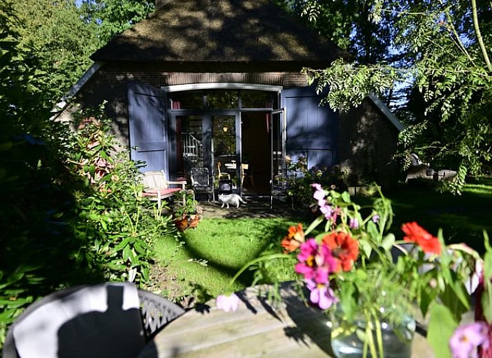 Cottage in Heerde, thatched cottage surrounded by green nature in Veluwe, Gelderland.