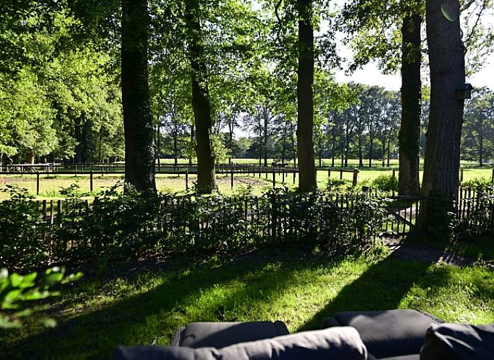 Aerial view of Cottage in Heerde, vacation home with large garden in Veluwe, Gelderland.