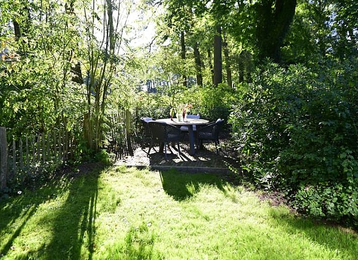 Sunny porch at Cottage in Heerde, vacation home in the Veluwe surrounded by greenery.