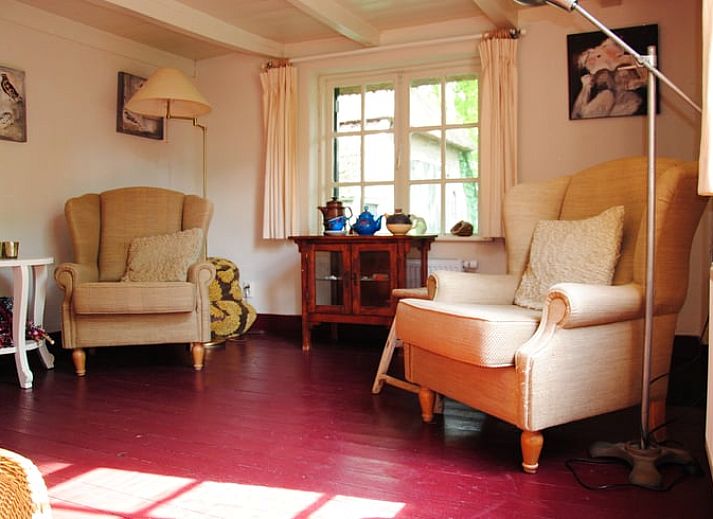 Charming terrace at cottage in Heerde, Veluwe, surrounded by flowering shrubs in Gelderland.