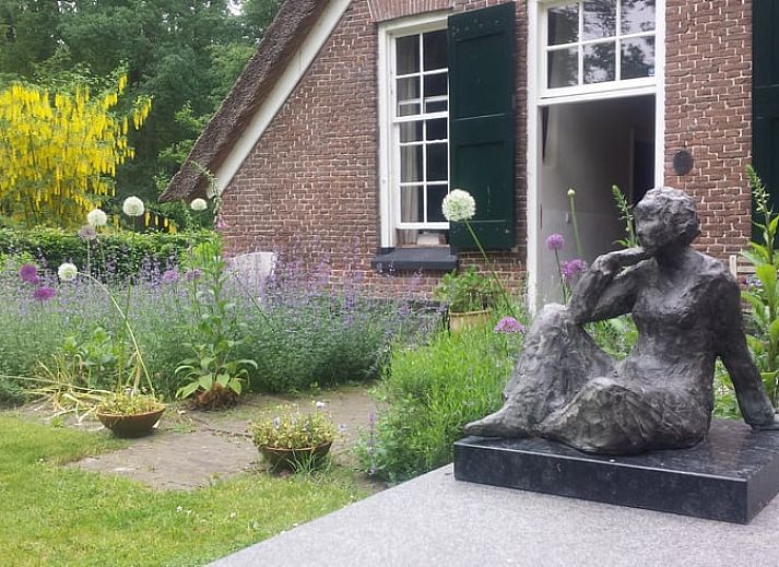 Charming terrace at cottage in Heerde, Veluwe, surrounded by flowering shrubs in Gelderland.