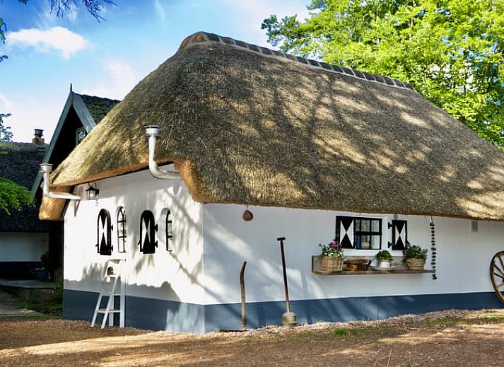 Guest house 323912 • Holiday property Veluwe • Huisje in Heerde