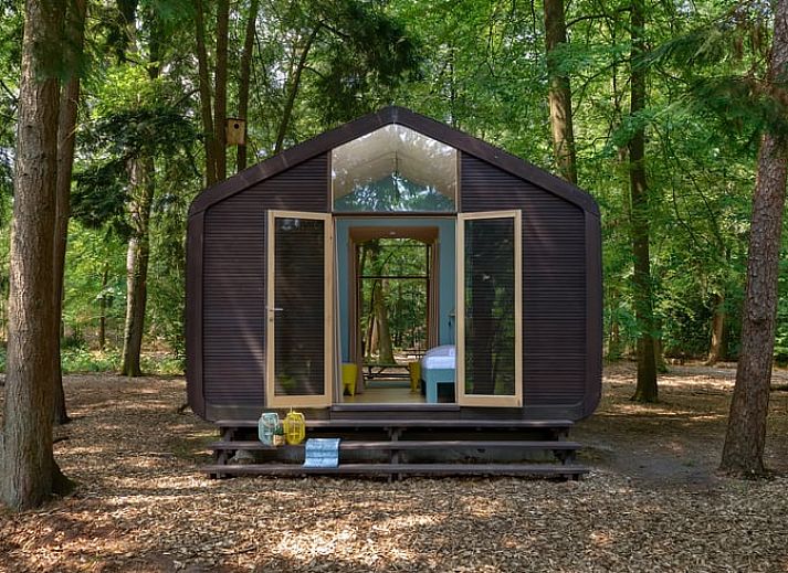 Ferienhaus in Apeldoorn, umgeben von der Veluwe-Natur, gemuetliche Terrasse zur Entspannung.