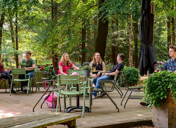 Charmantes Ferienhaus in Apeldoorn mit Blick auf die gruenen Waelder der Veluwe.