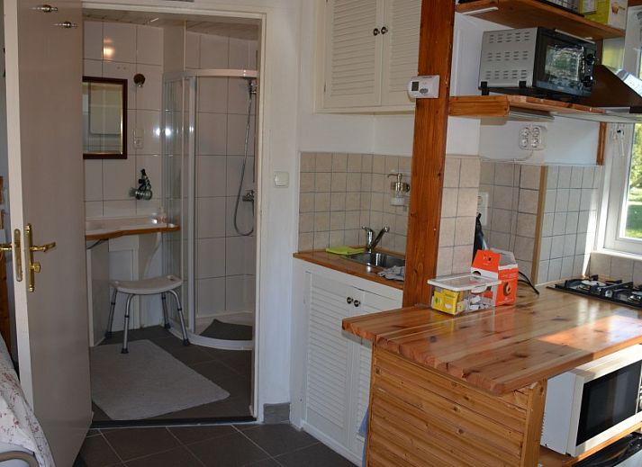 Enjoy the green garden at Bed and Breakfast Het Puttertje in Hattem, Veluwe, Gelderland.