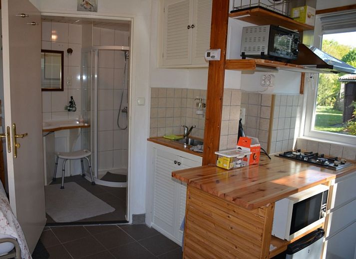 Spacious garden and terrace at Het Puttertje, a cozy bed and breakfast in Hattem, Veluwe, Gelderland.