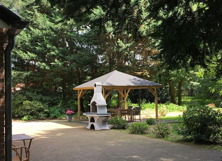 Blick auf einen gruenen Garten von der Terrasse eines Ferienhauses in Hattemerbroek, Veluwe, Gelderland.