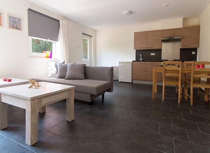 Blick auf einen gruenen Garten von der Terrasse eines Ferienhauses in Hattemerbroek, Veluwe, Gelderland.