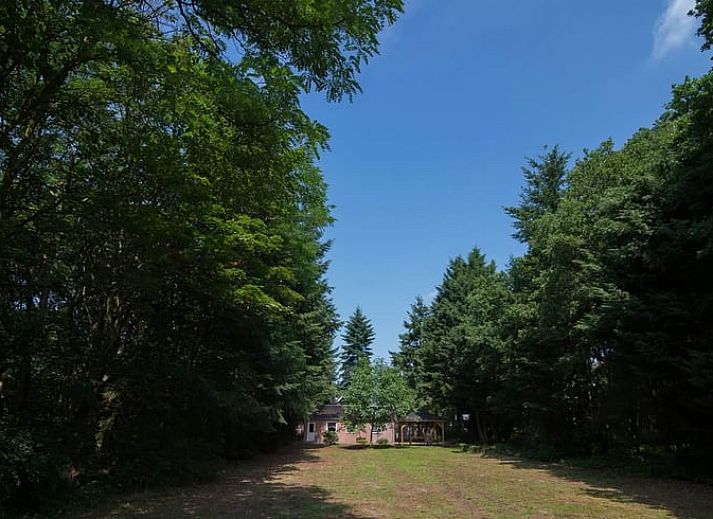 Aussenansicht des Ferienhauses in Hattemerbroek, attraktives Ferienhaus in Hattemerbroek, Gelderland.