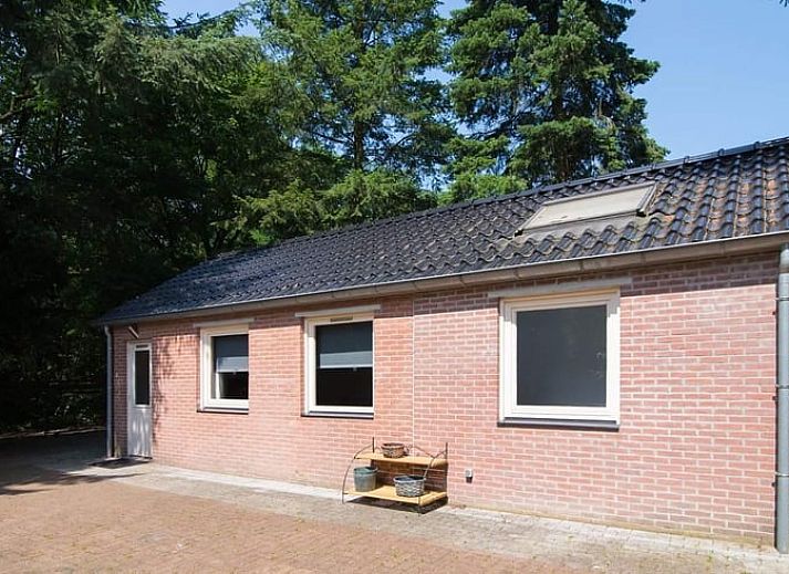 Geraeumige Terrasse mit Grill im Haus in Hattemerbroek, Ferienhaus in der Veluwe.