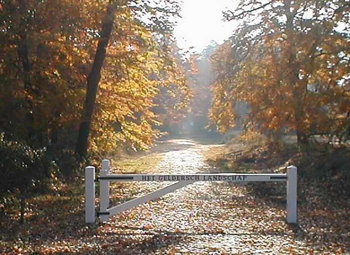Geraeumige Terrasse mit Grill im Haus in Hattemerbroek, Ferienhaus in der Veluwe.