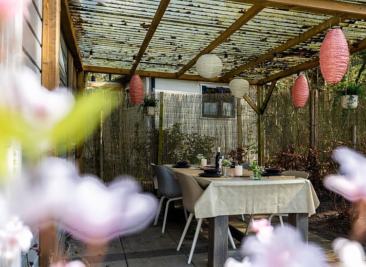 Verblijf 324117 - Chalet Veluwe - Boschalet Stijn