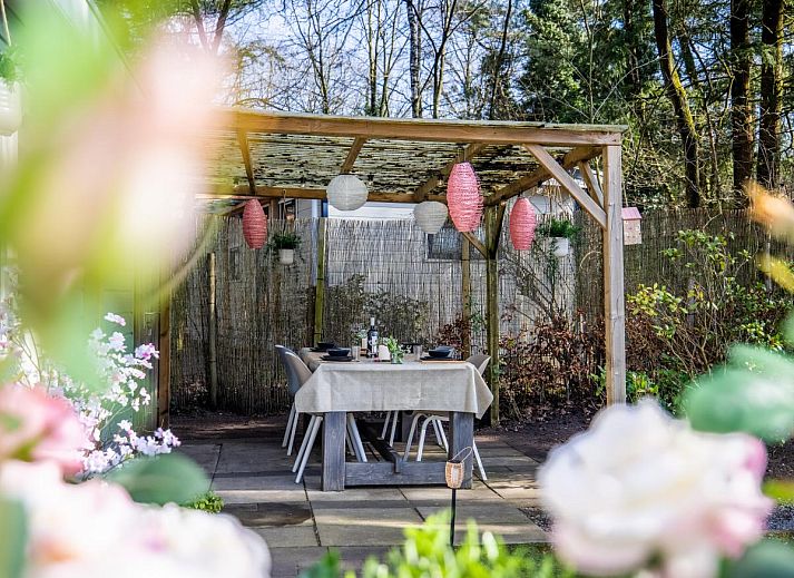 Verblijf 324117 - Chalet Veluwe - Boschalet Stijn