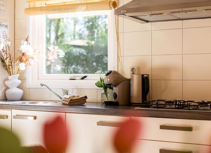 Verblijf 324117 - Chalet Veluwe - Boschalet Stijn