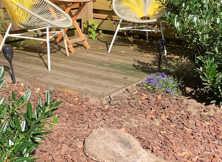 Unterkunft 324123 - Ferienhaus Veluwe - Vakantiehuis in Hattemerbroek