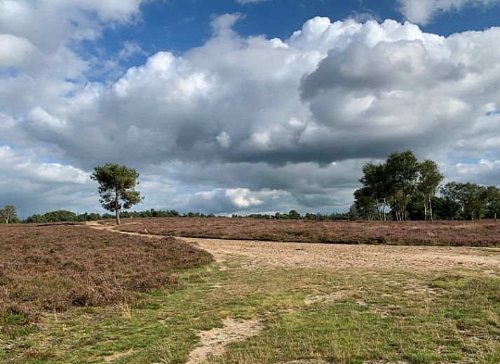Unterkunft 324123 - Ferienhaus Veluwe - Vakantiehuis in Hattemerbroek
