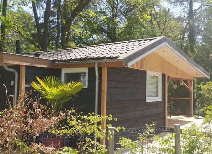 Guest house 324126 • Holiday property Veluwe • Vakantiehuis in Hattemerbroek
