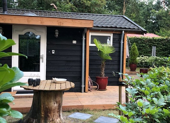 Guest house 324126 - Holiday property Veluwe - Vakantiehuis in Hattemerbroek